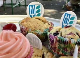 13. Libníčské slavnosti