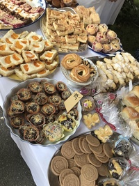 13. Libníčské slavnosti