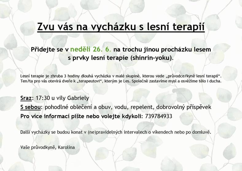 Lesní terapie plakát-001.jpg