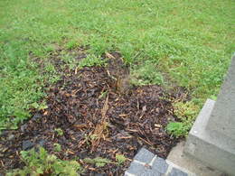 takto si někteří z nás představují péči o společný majetek