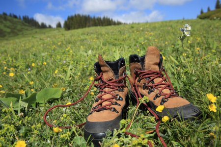 depositphotos_119970050-stock-photo-hiking-boots-on-green-grass.jpg